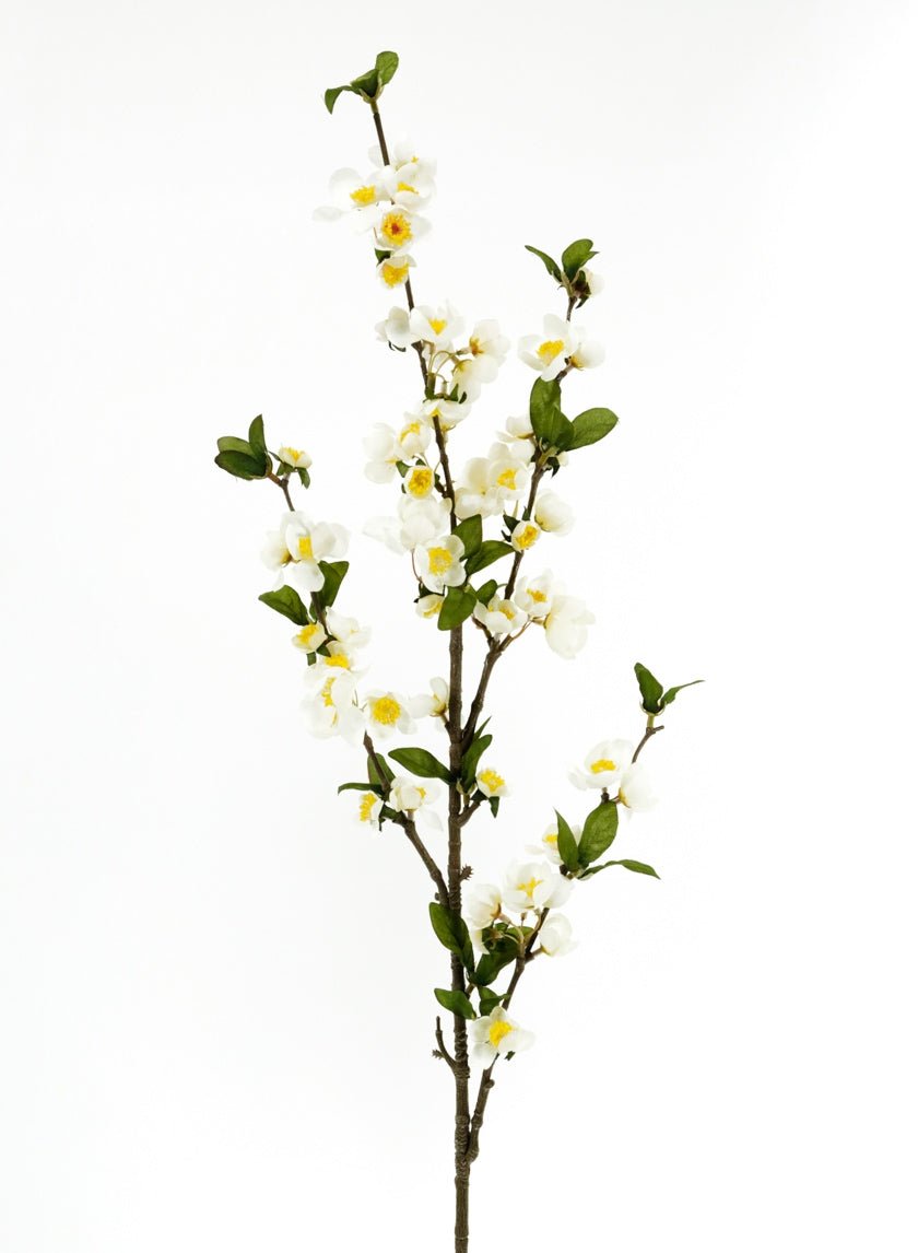 39 in Cream Apple Blossom Branch