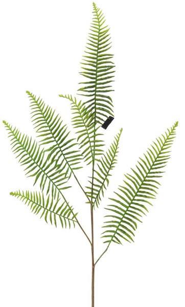 39.5"L BOSTON FERN SPRAY GREEN
