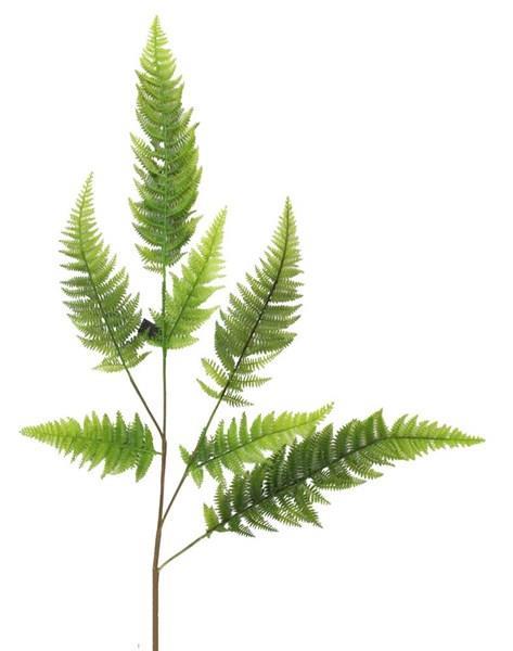 39.5"L MAIDENHAIR FERN SPRAY GREEN