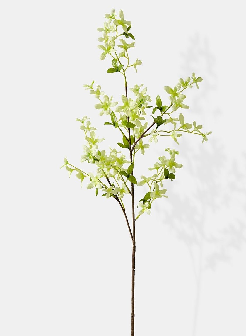 40 in Pale Green Forsythia Spray