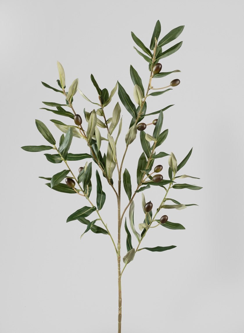 41 in Olive Branch Spray