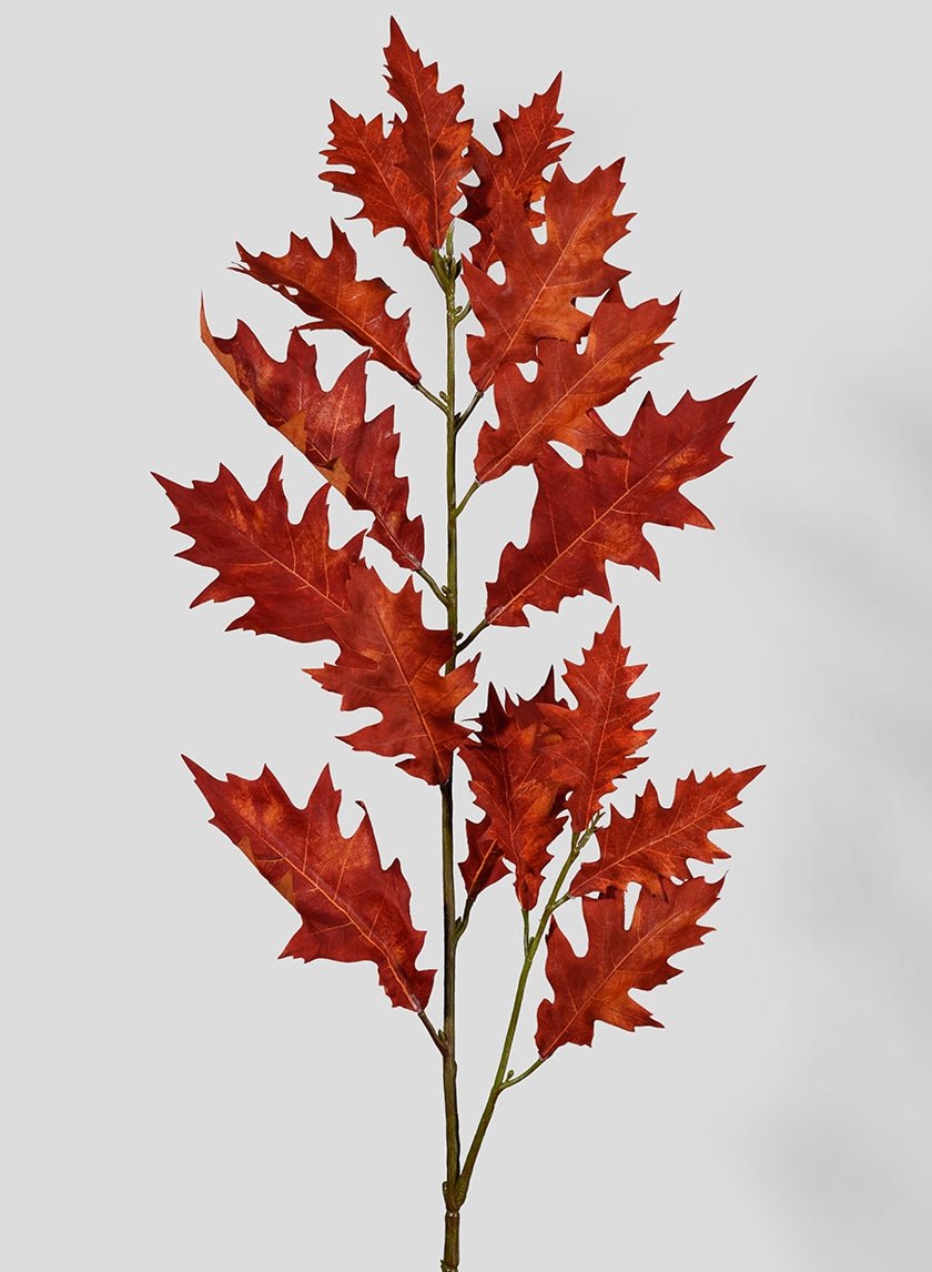 41 in Red Oak Leaf Branch