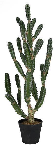 42" POTTED CACTUS W/FUZZY THORNS