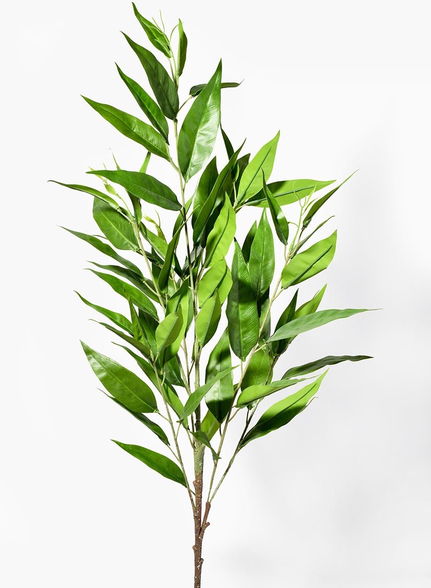42in Long - Leaf, California Ecucalptus Spray
