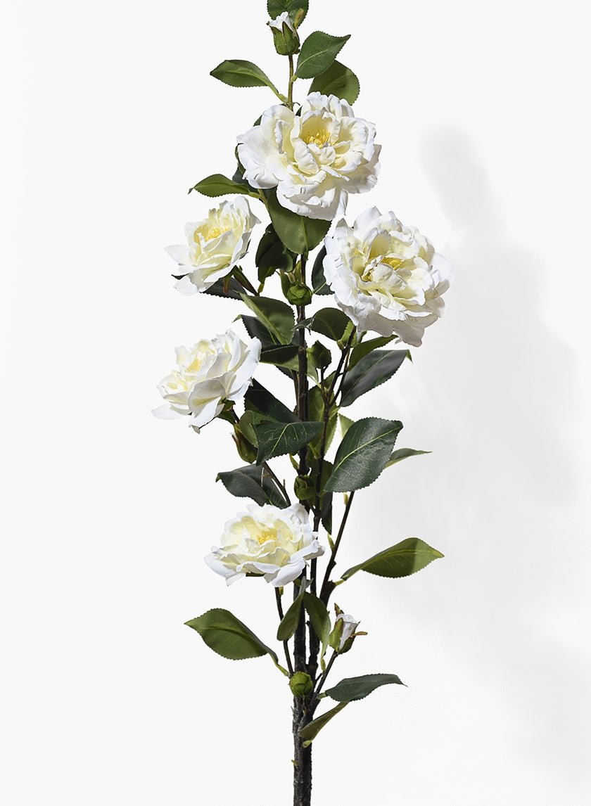43 in Cream Camelia Spray