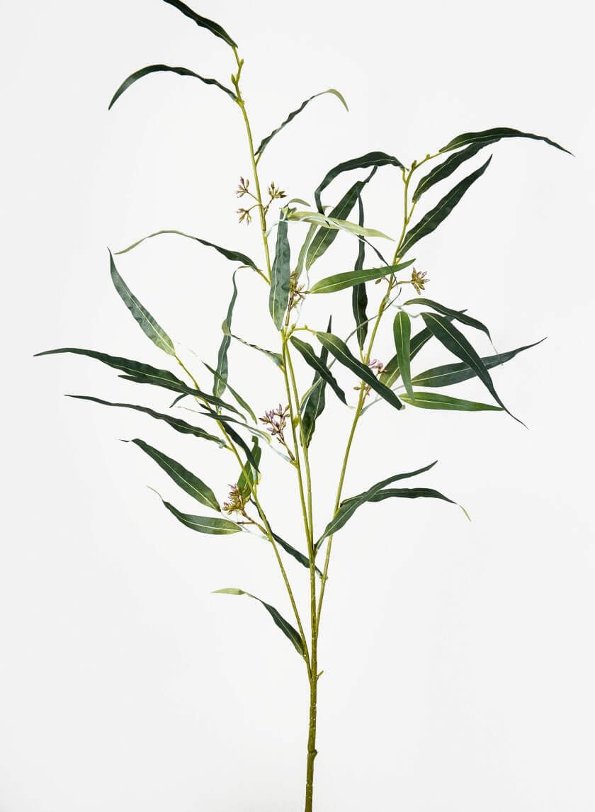 46 in Red Ironbark Eucalyptus Spray