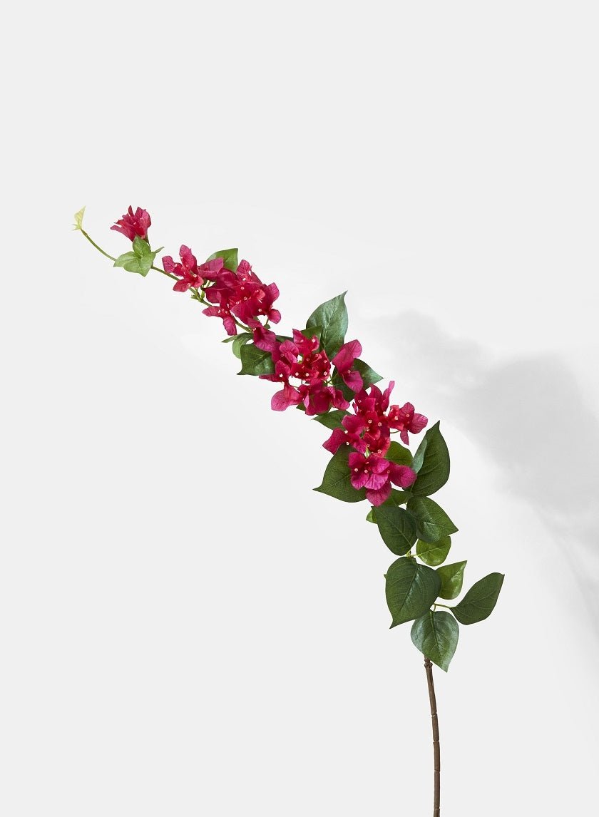 47 in Pink Bougainvillea Spray