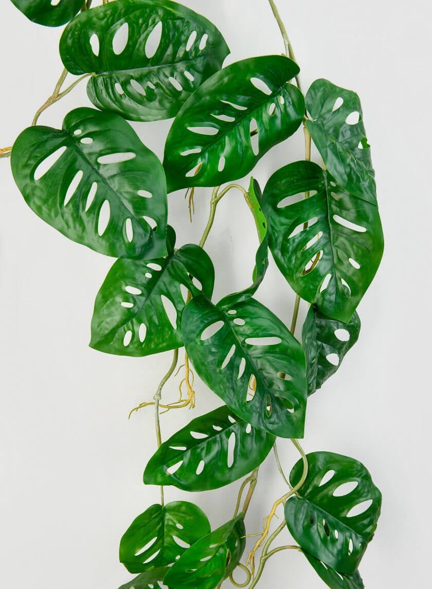 47 in Swiss Cheese Monstera Leaf Vine