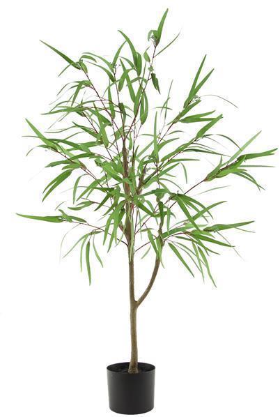 47"POTTED WILLOW EUCALYPTUS TREE