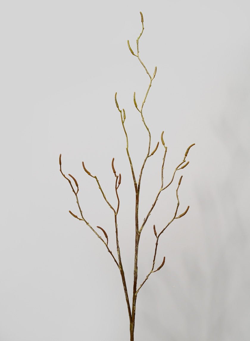 48 in Birch Branch with Catkins