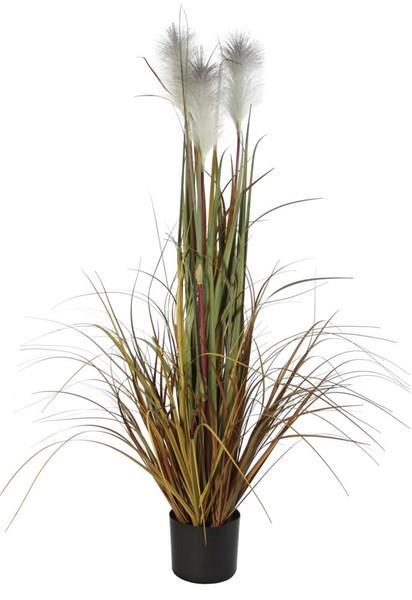 48" POTTD REED/GRSS/PLUMES PLANT **MIN 4** CREAM/GREEN/RUST/GOLD