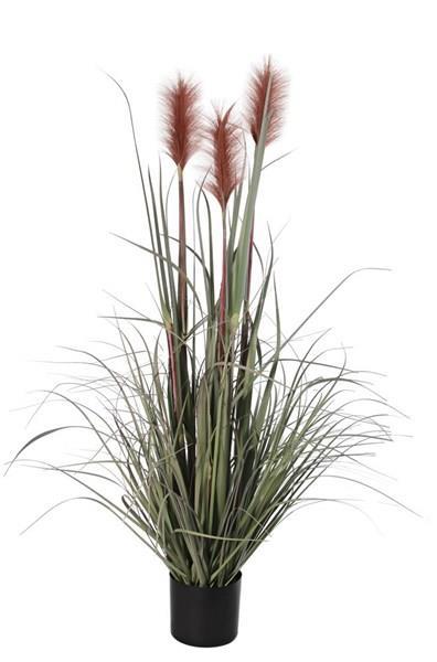 48" POTTD REED/GRSS/PLUMES PLANT **MINIMUM 4** BURGUNDY/SAGE