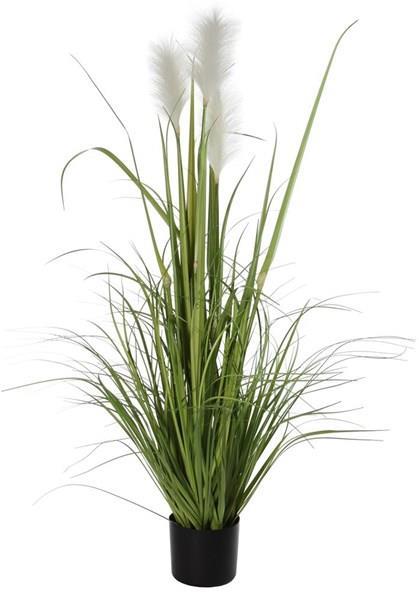 48" POTTD REED/GRSS/PLUMES PLANT **MINIMUM 4** WHITE/GREEN