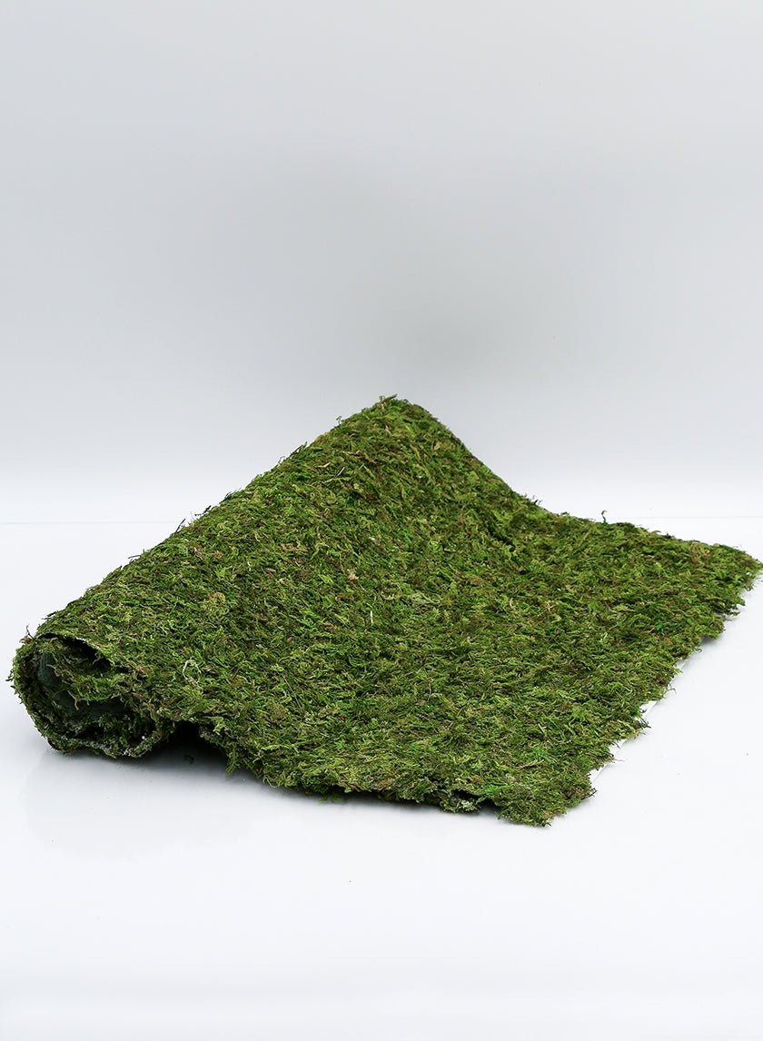 48 x 18 in Moss Mat
