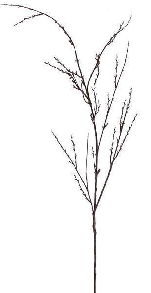 49"L DRY BRANCH NATURAL