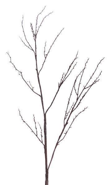 49"L DRY BRANCH NATURAL