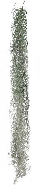 51"L SPANISH MOSS NATURAL GREY