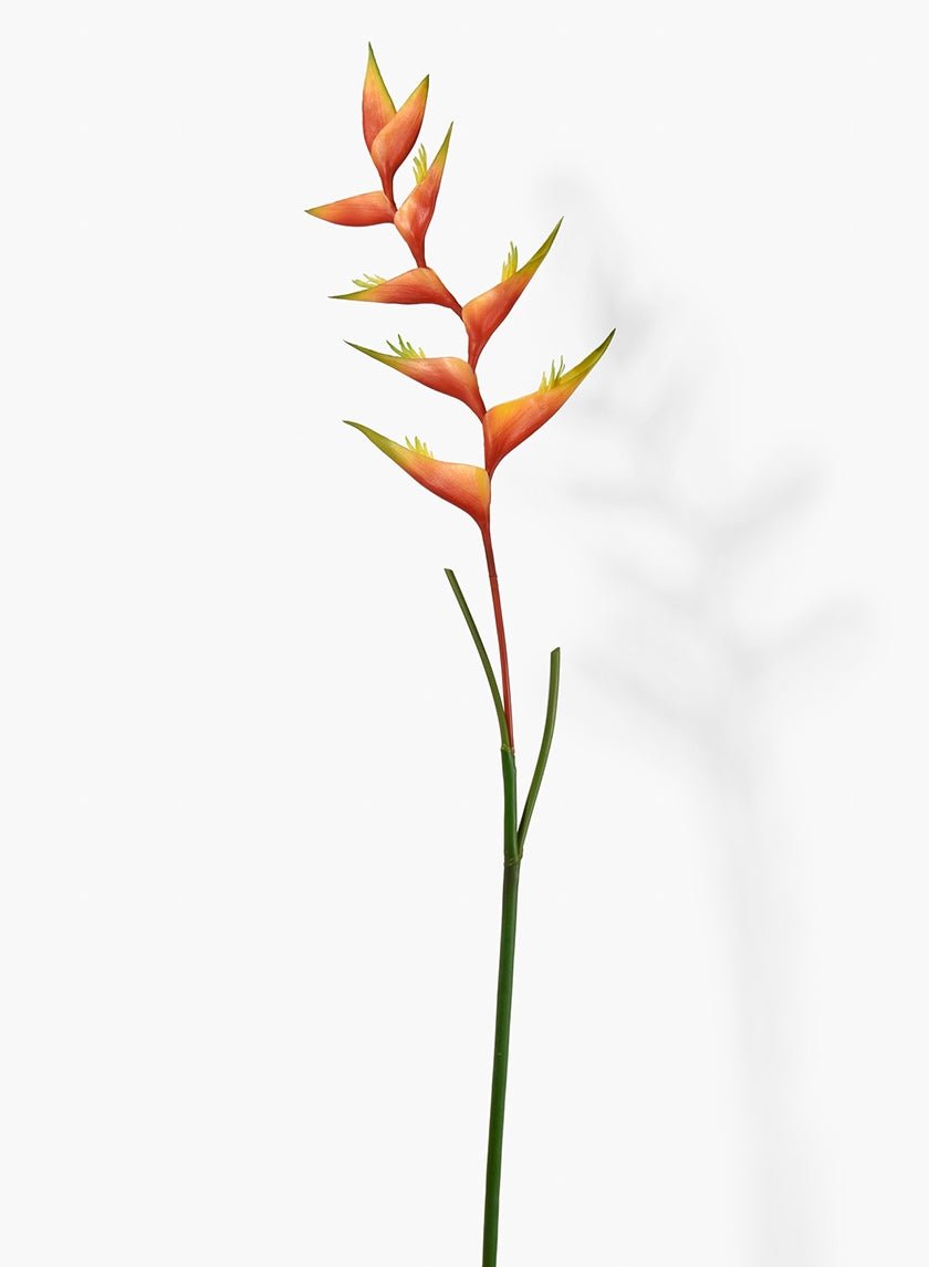 53 in Orange Heliconia Stem