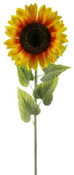 55"L X 13"DIA SUNFLOWER STEM YELLOW