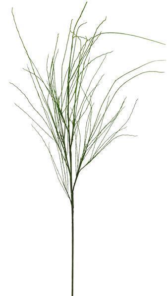 57"L WILLOW GRASS SPRAY GREEN