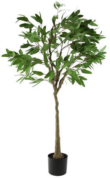 63"H POTTED BLADE EUCALYPTUS TREE