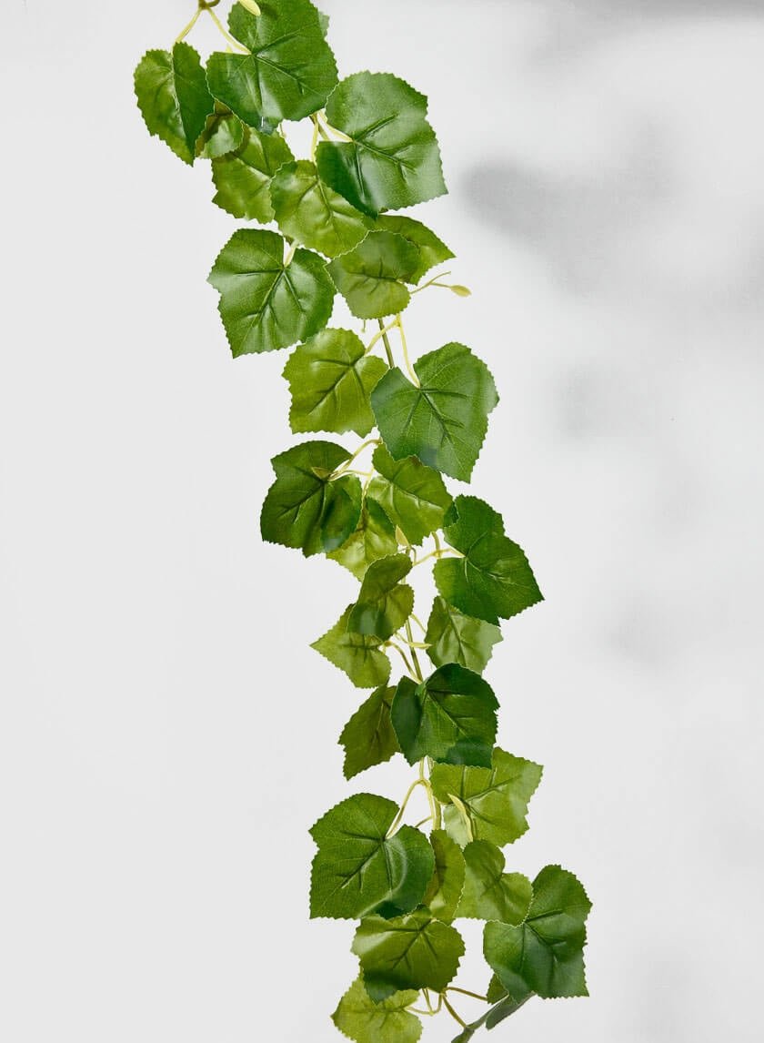 82 in Grape Leaf Vine