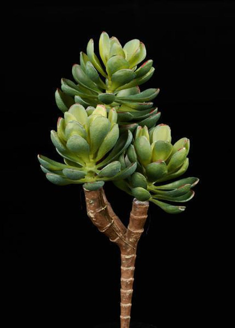 8"L UV SHIELD SUCCULENT PICK DARK GREEN