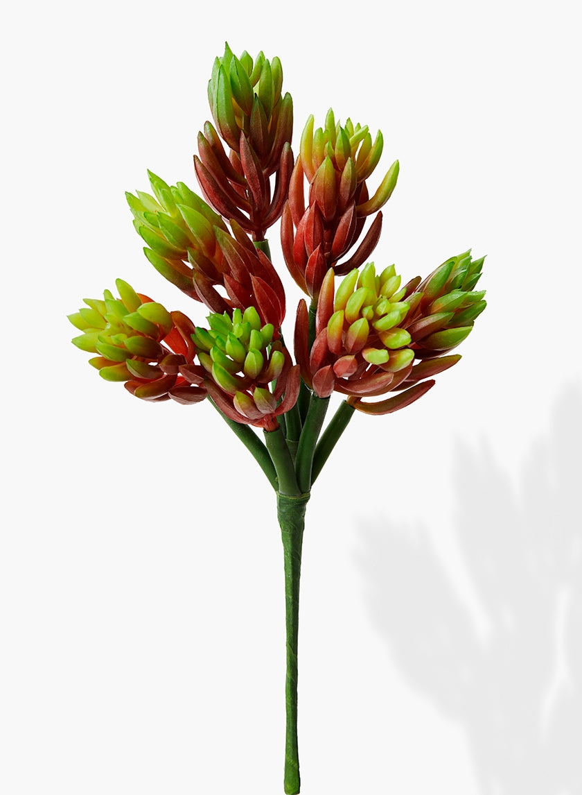 11 in Soft, Green & Red Aloe Pick