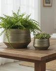 Brookshire Metal Planters -Green Gold Set of 2