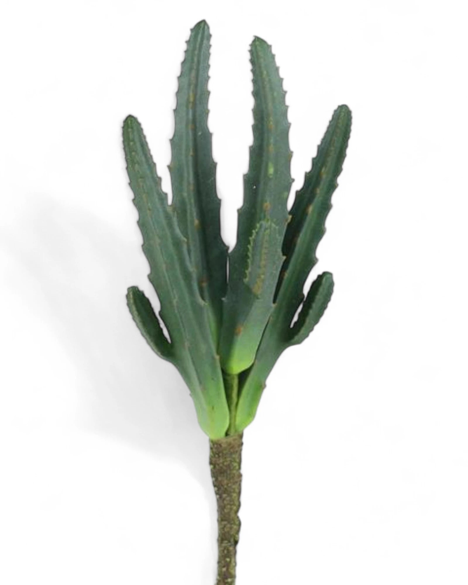 10.25"L CACTUS PICK GREEN