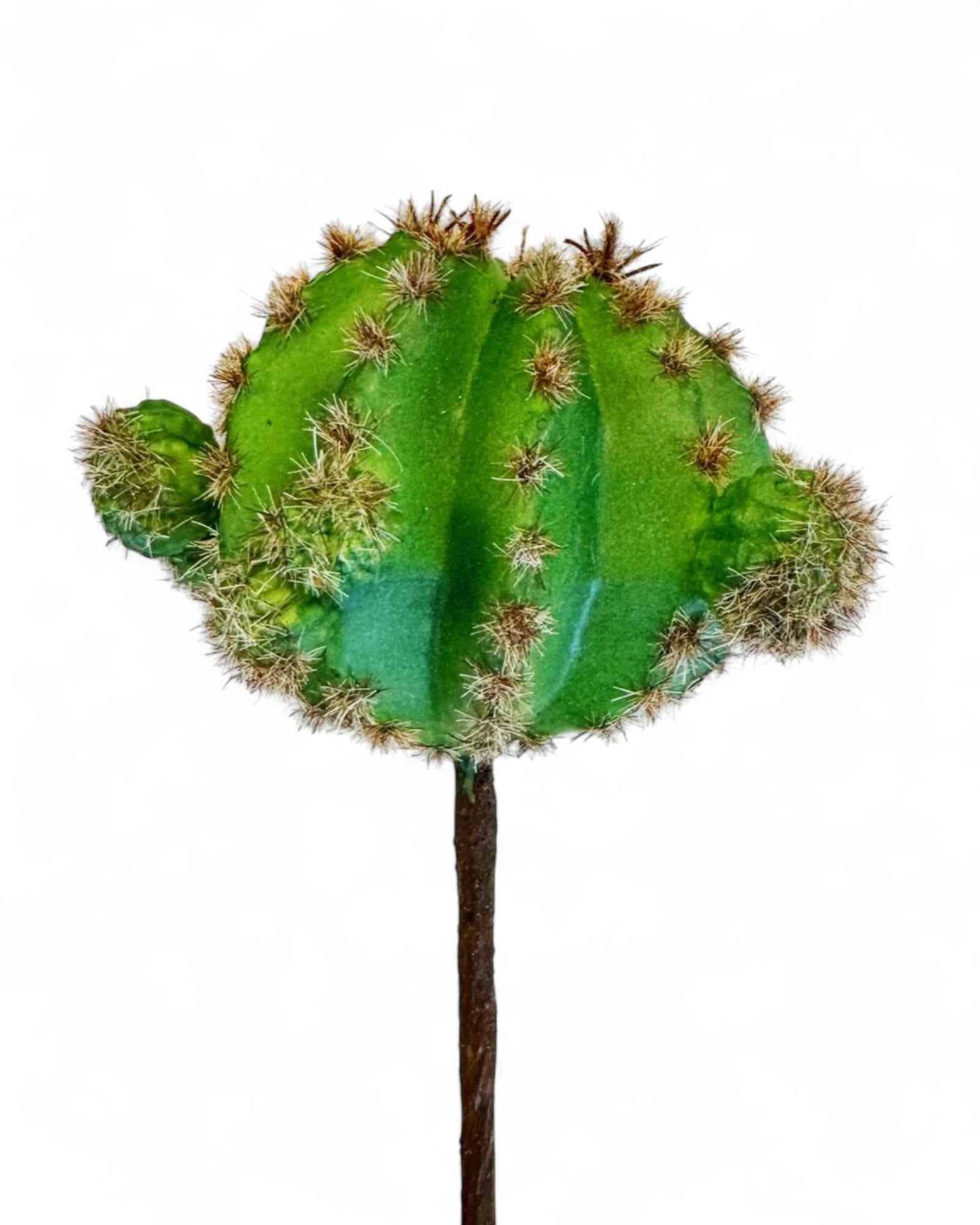 8"L CACTUS PICK GREEN