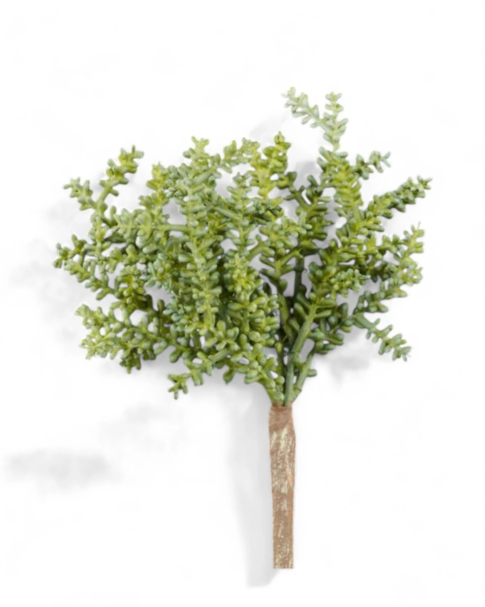 8"L UV SHIELD SUCCULENT PICK GREEN WITH BLUE