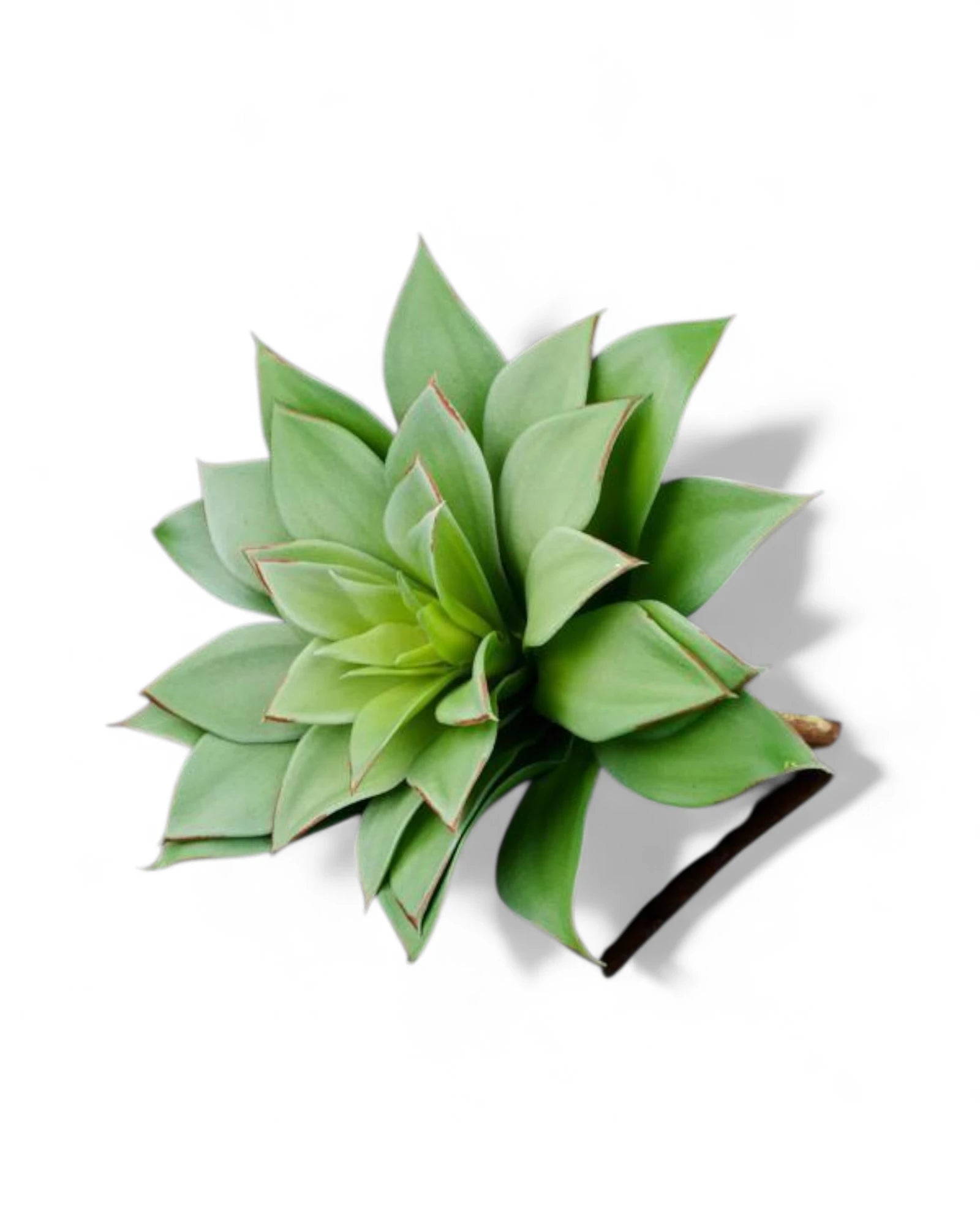 8.5"L UV SHIELD SUCCULENT PICK GREEN WITH BLUE