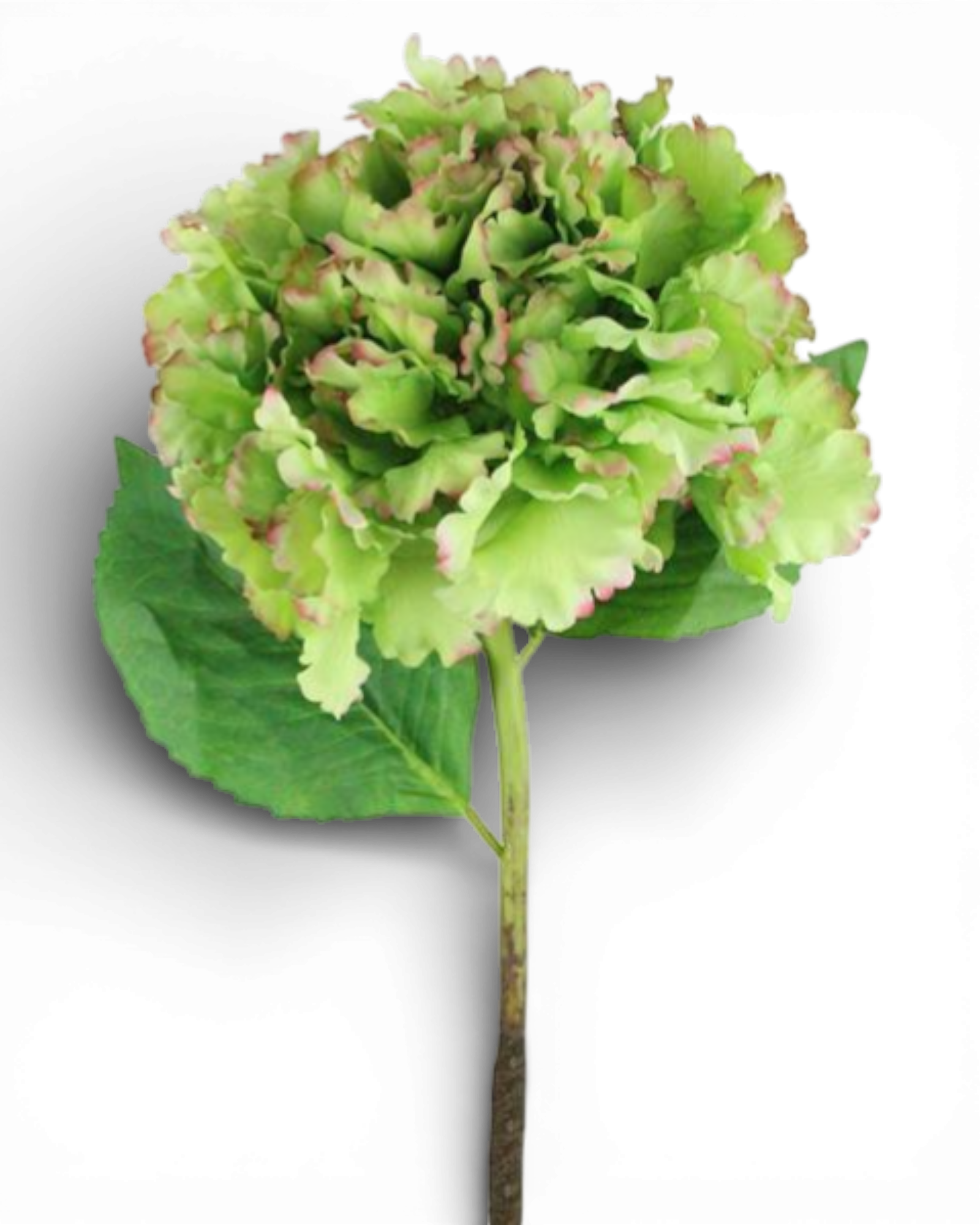 27 Inch Hydrangea Stem - Green