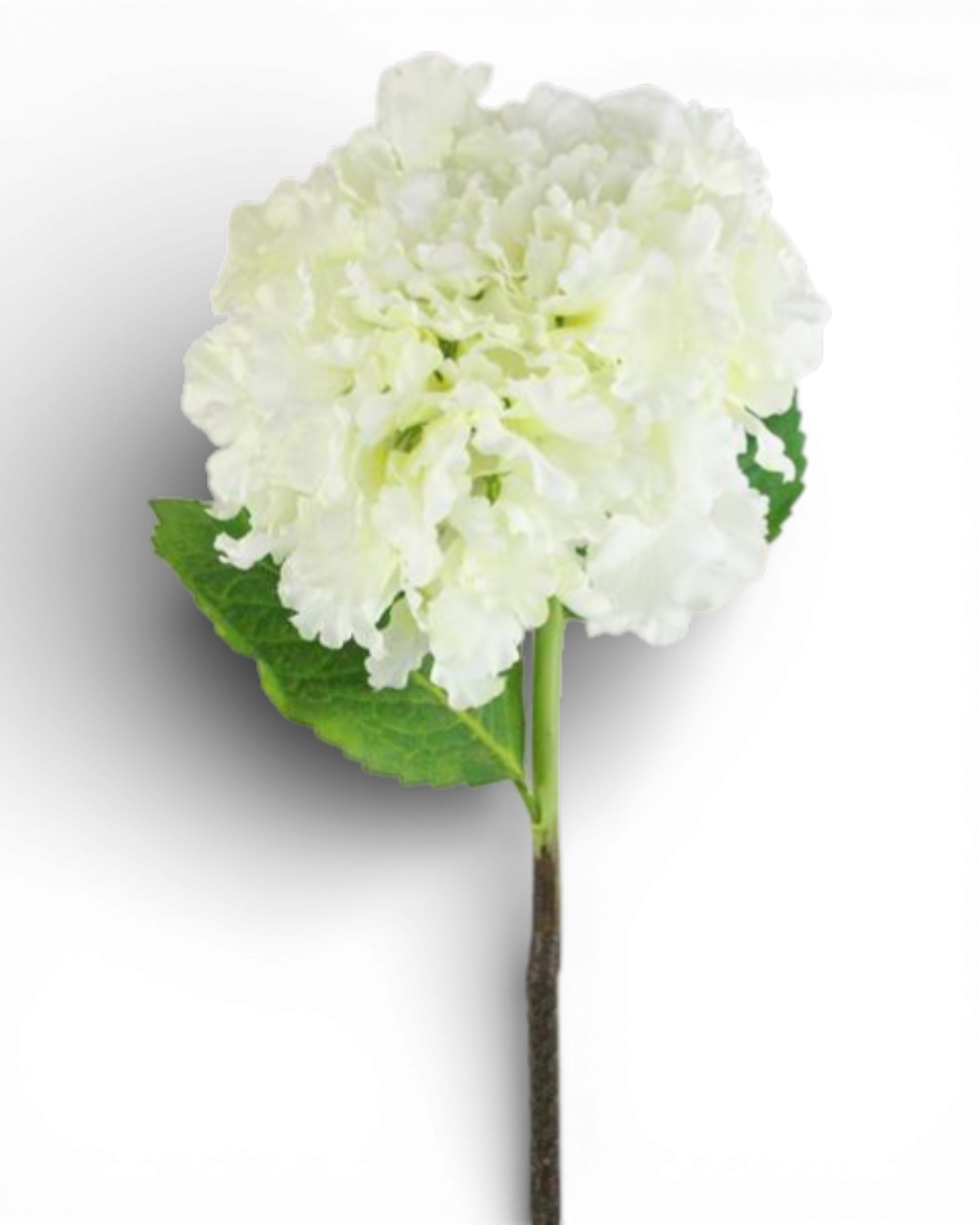 27 Inch Hydrangea Stem - White