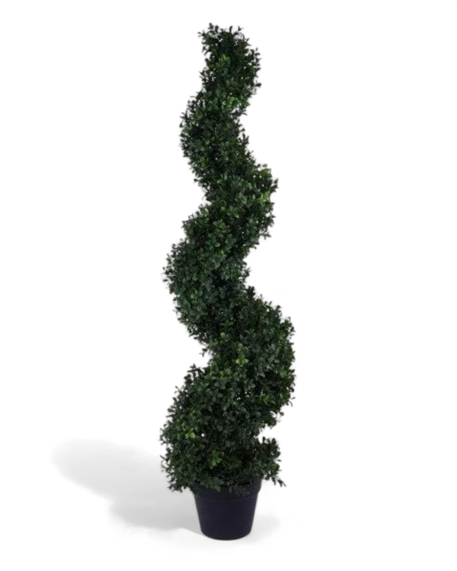 48"H SPIRAL BOXWOOD TOPIARY UV PROTECTED