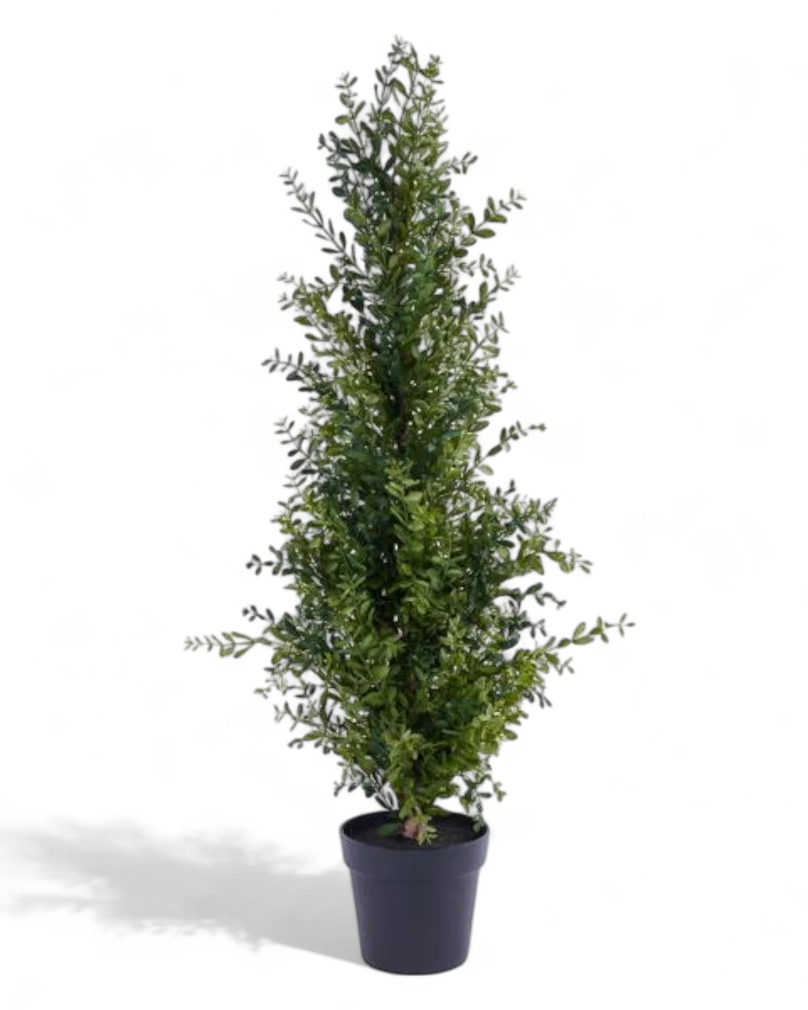 48"H POTTED BOXWOOD TREE
