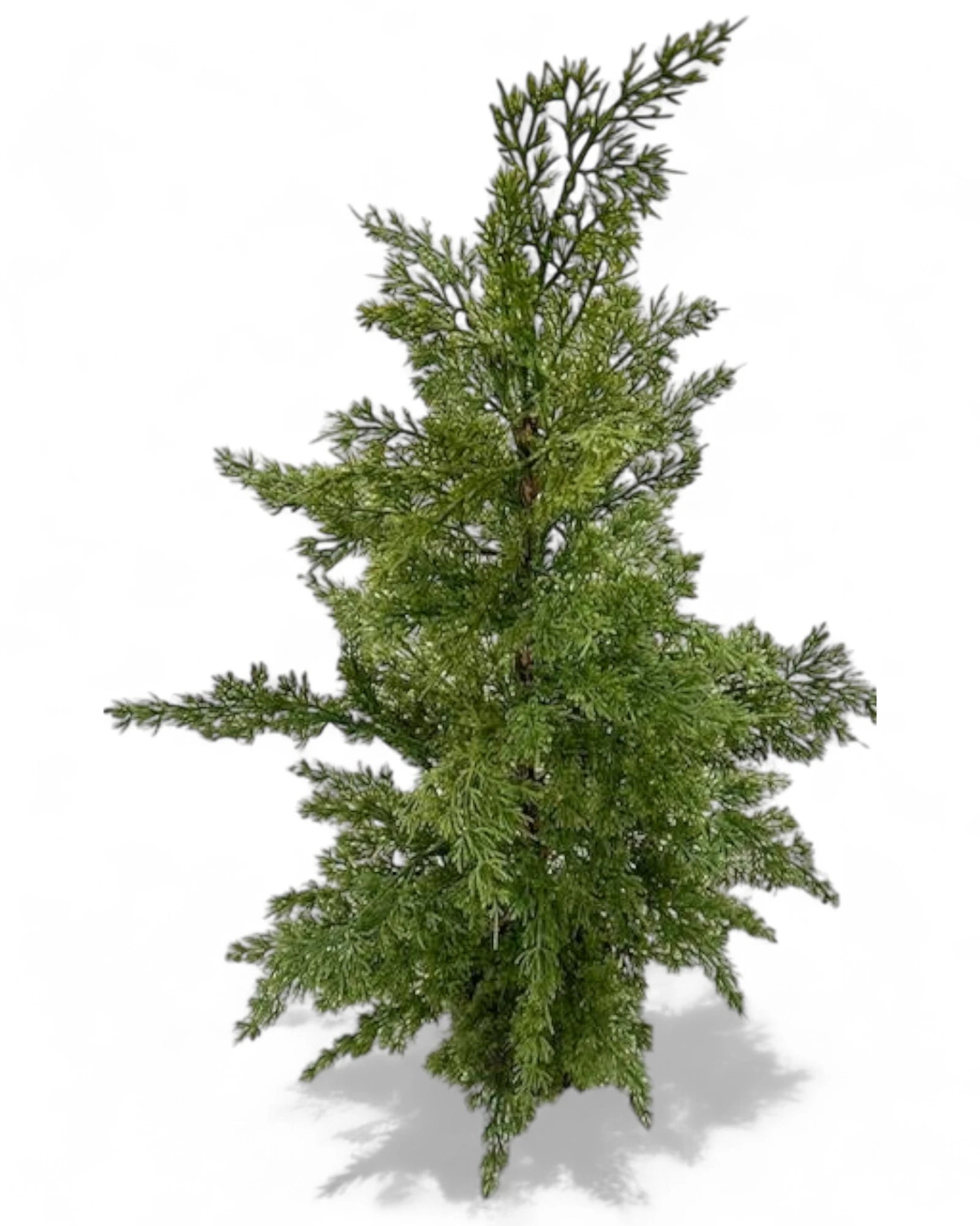 35.75"H POTTED JUNIPER BUSH