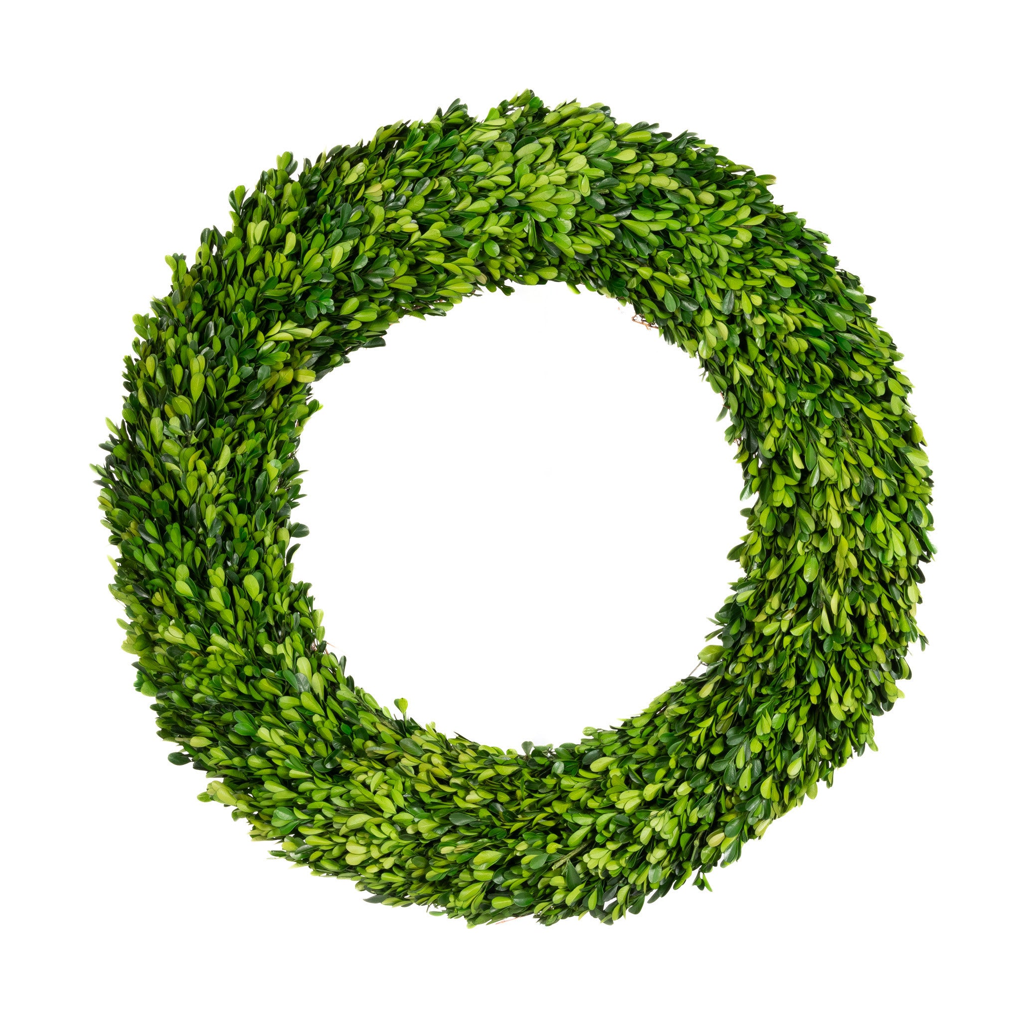 Preserved Boxwood Regal Wreath - 30 Inch