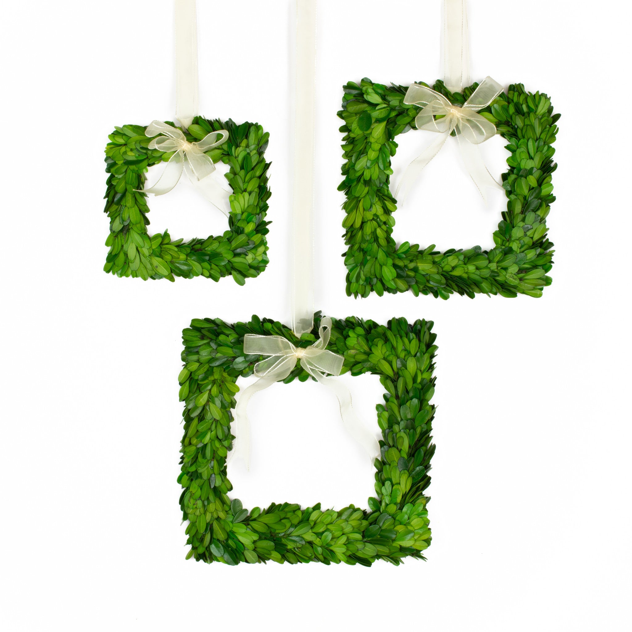 Preserved Boxwood Wreath - Square - 3 Piece Set