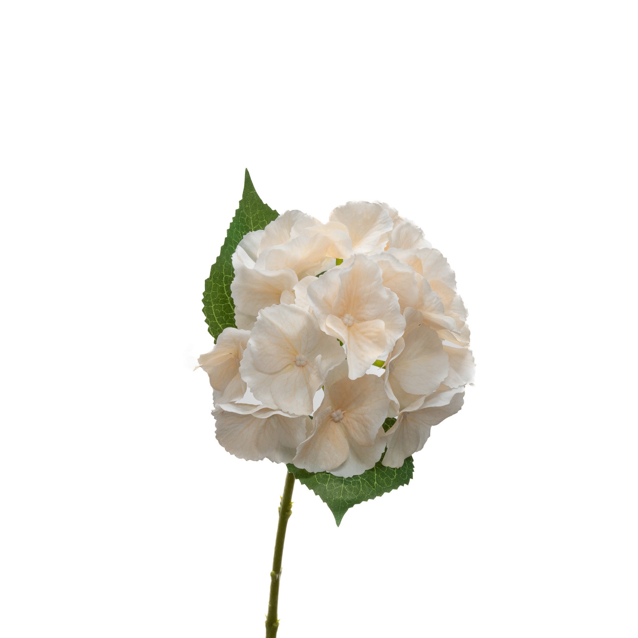 Real Touch Hydrangea 14 Inch Champagne
