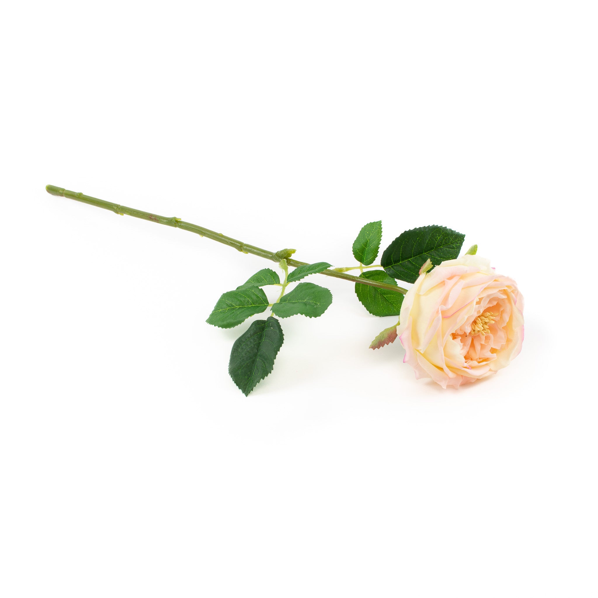 Real Touch Blush Pink English Rose 17 Inch