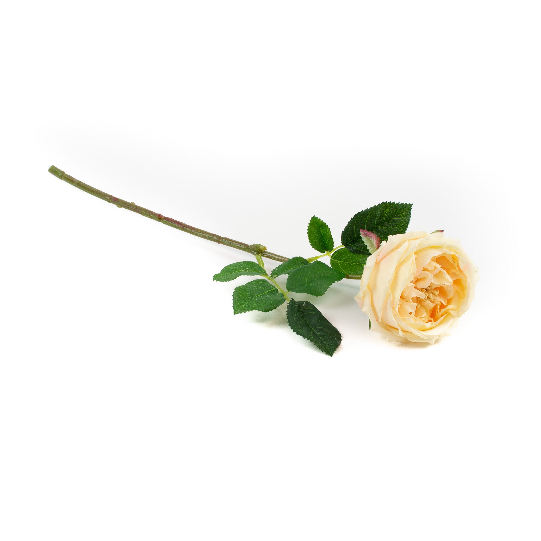 Real Touch Dark Champagne English Rose 17 Inch
