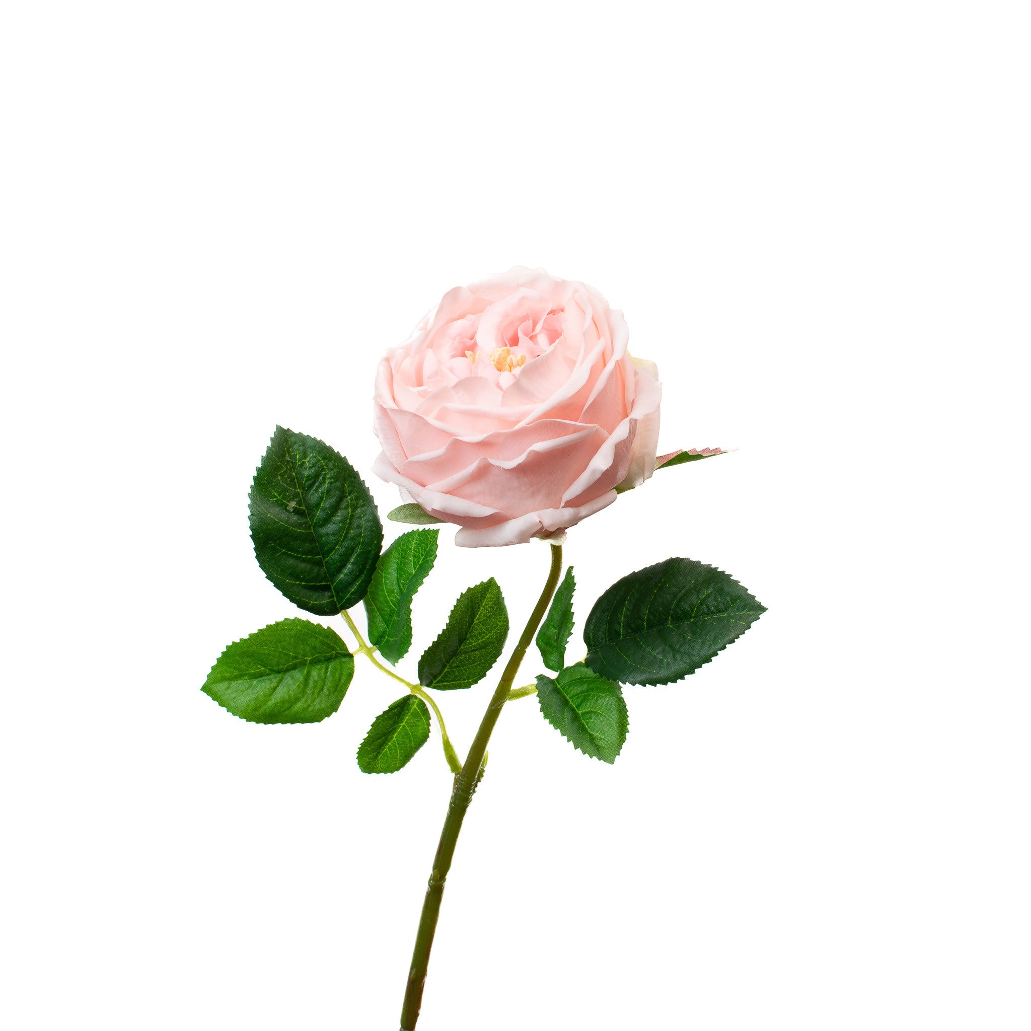 Real Touch Pink English Rose 17 Inch