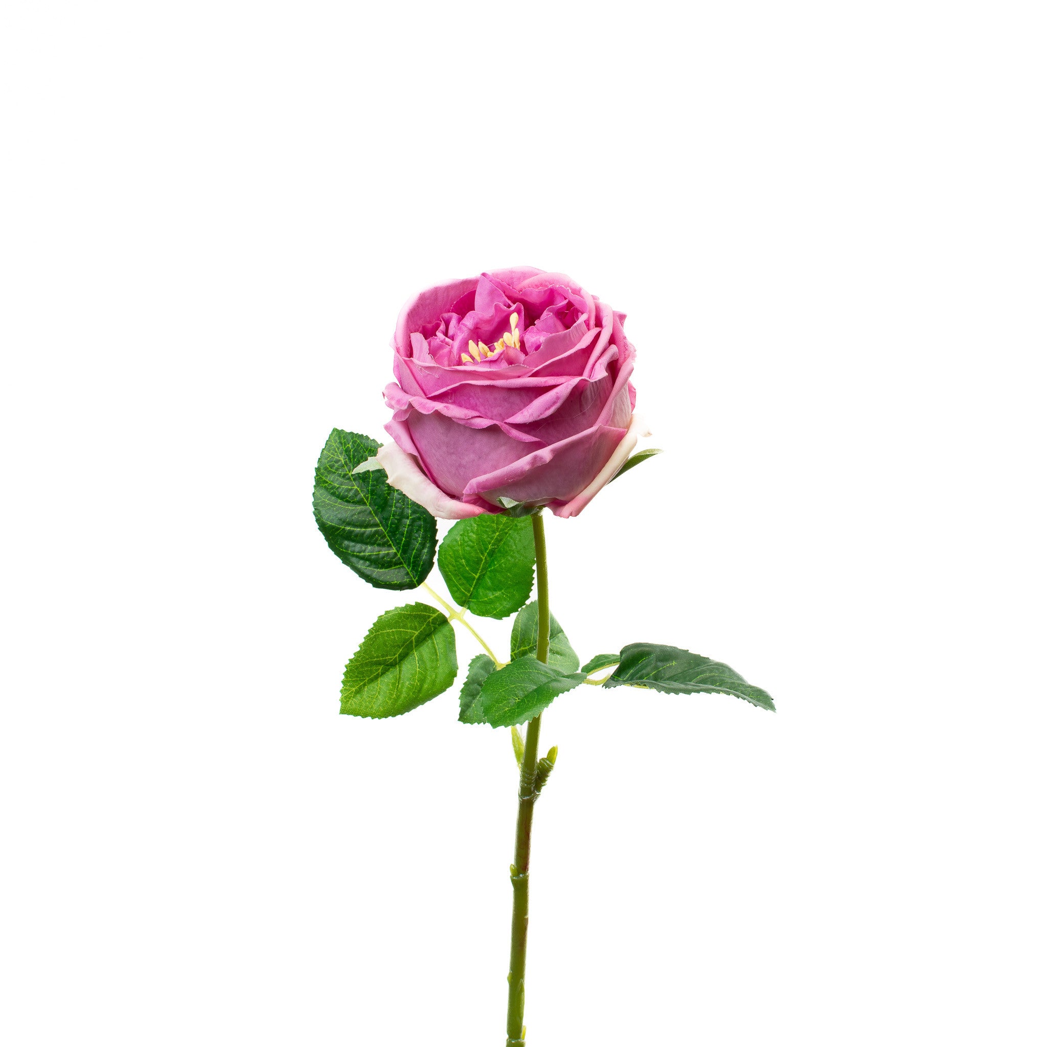 Real Touch Mauve English Rose 17 Inch