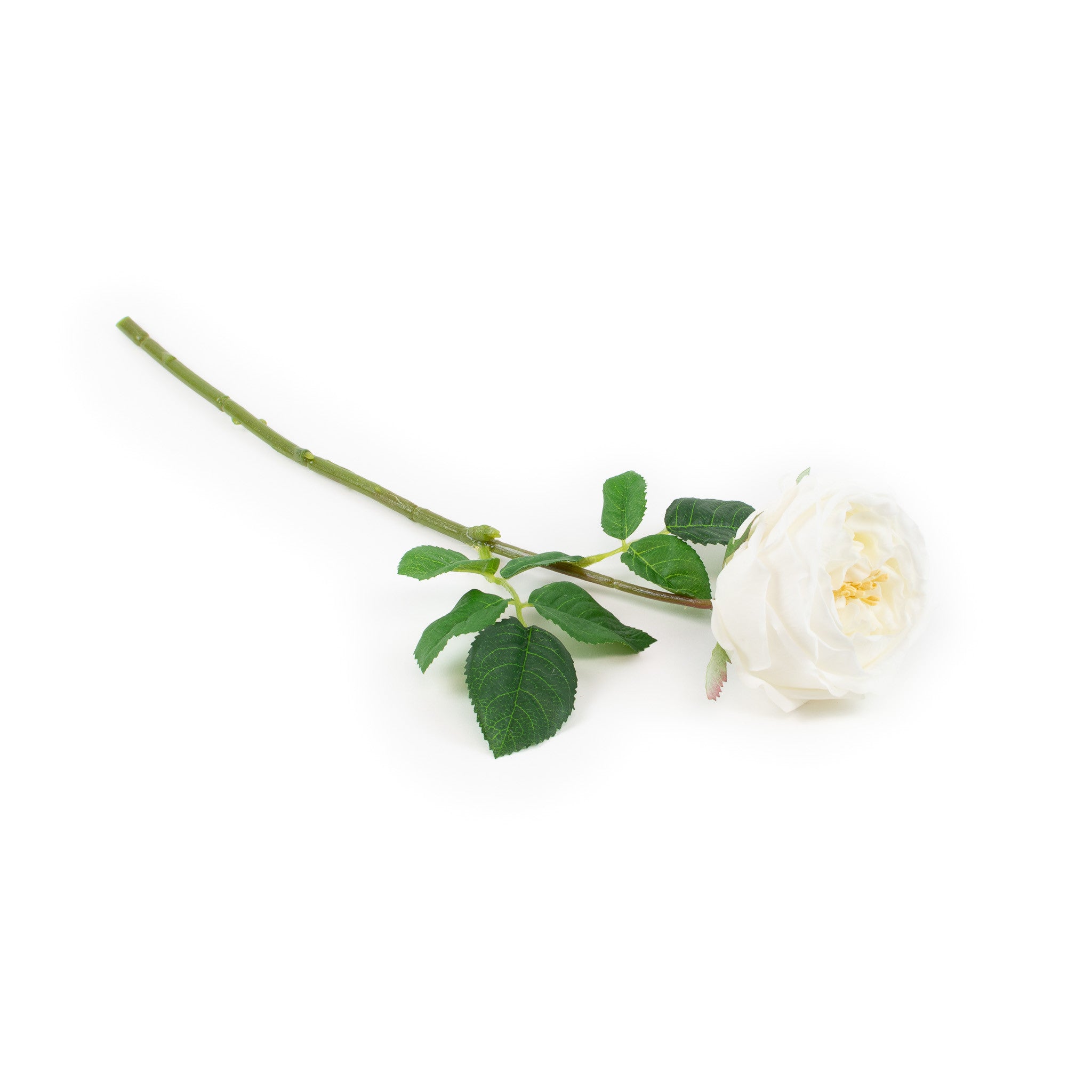 Real Touch White English Rose 17 Inch