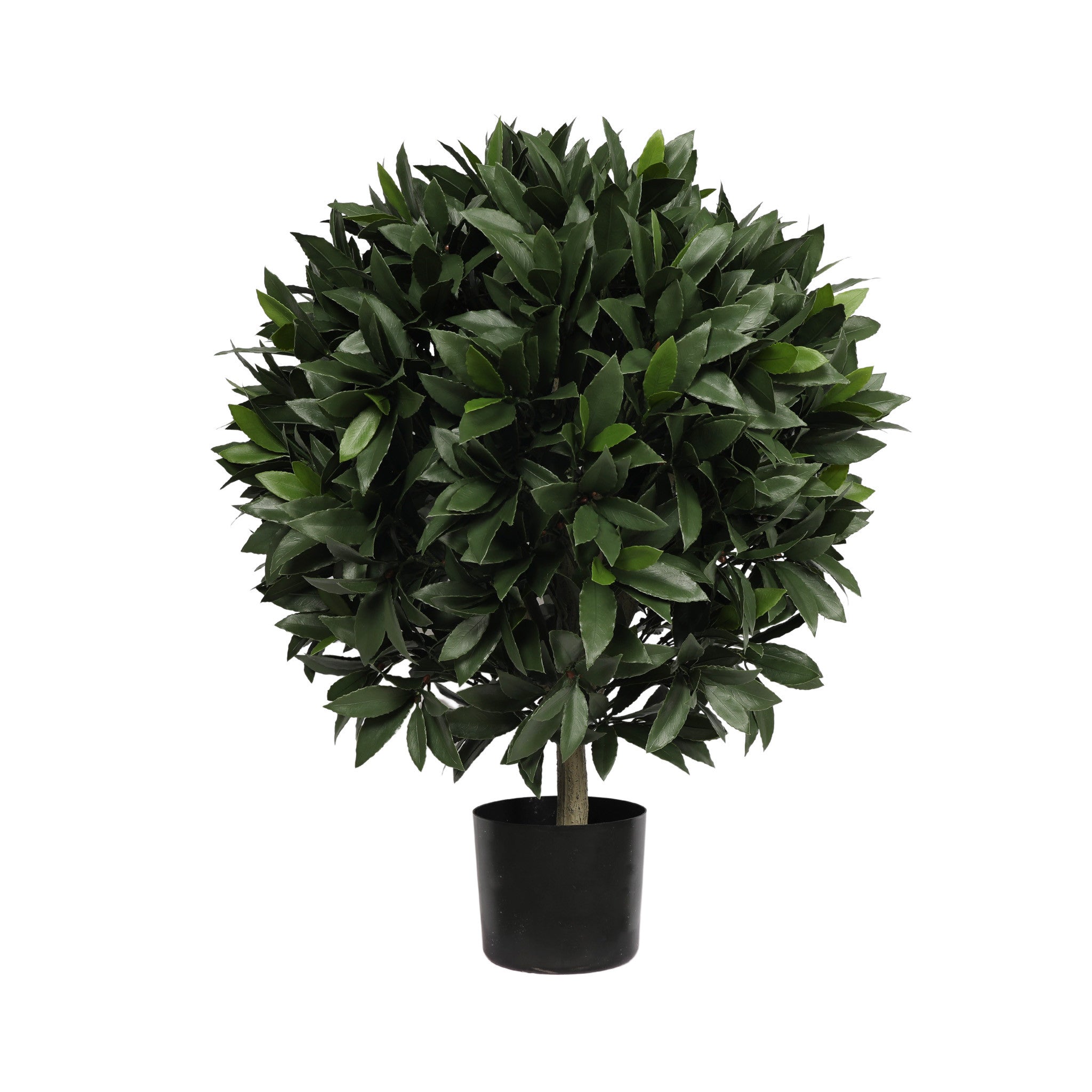 UV Bay Laurel Ball Topiary - 34 Inch