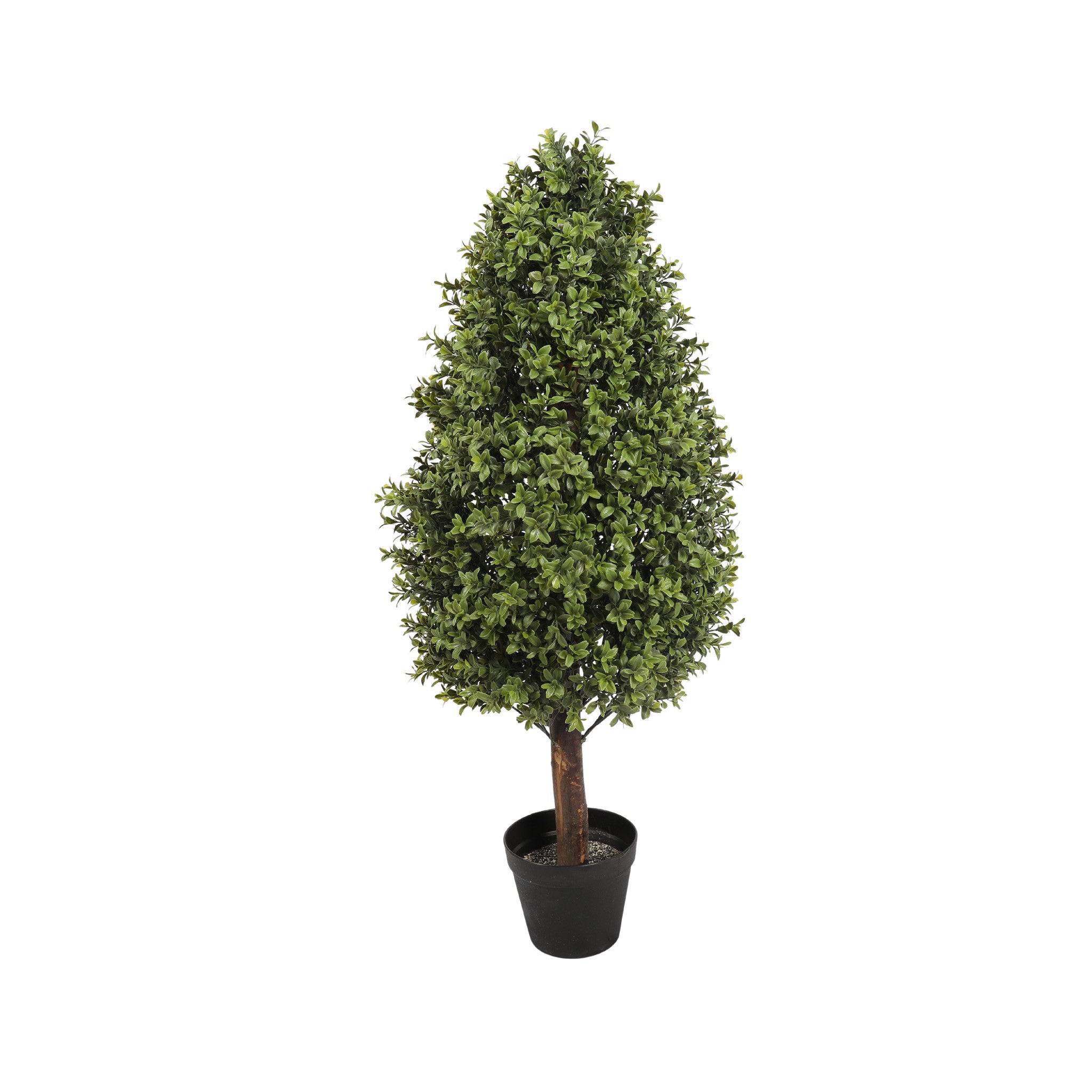 UV Boxwood Oval Topiary - 36 Inch