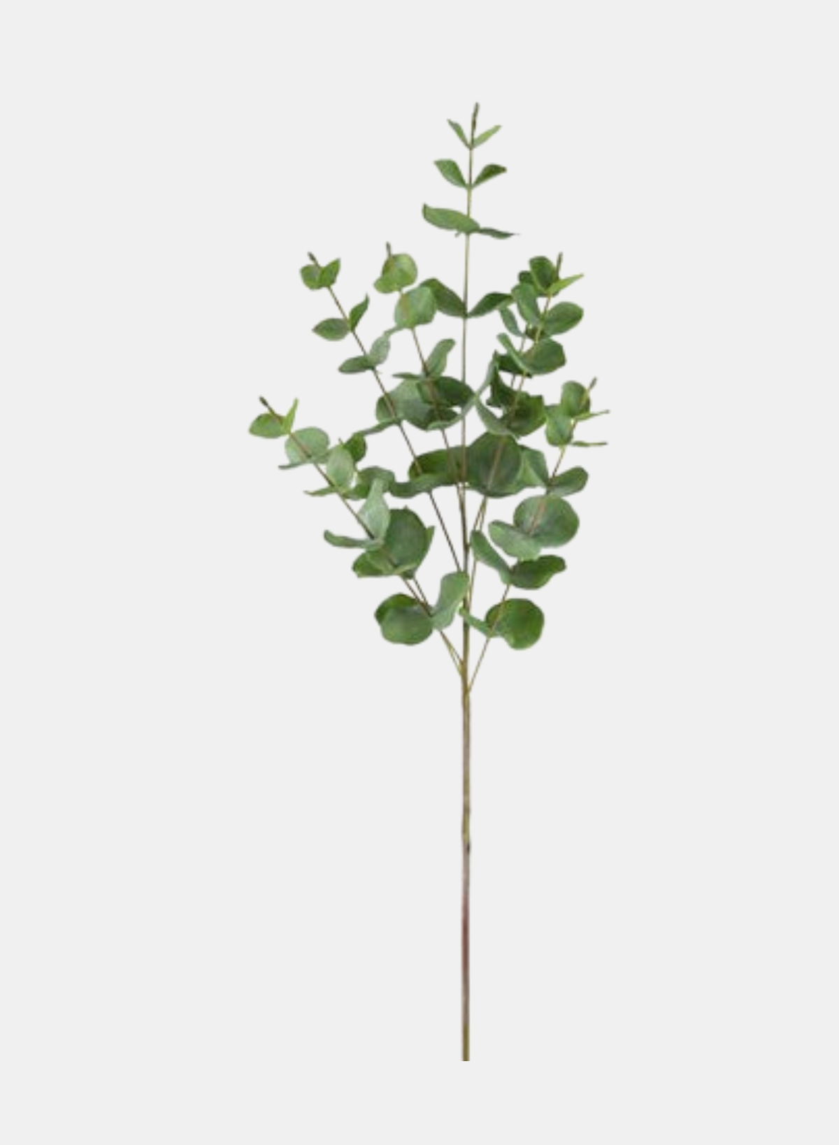 27"L GREEN EUCALYPTUS SPRAY