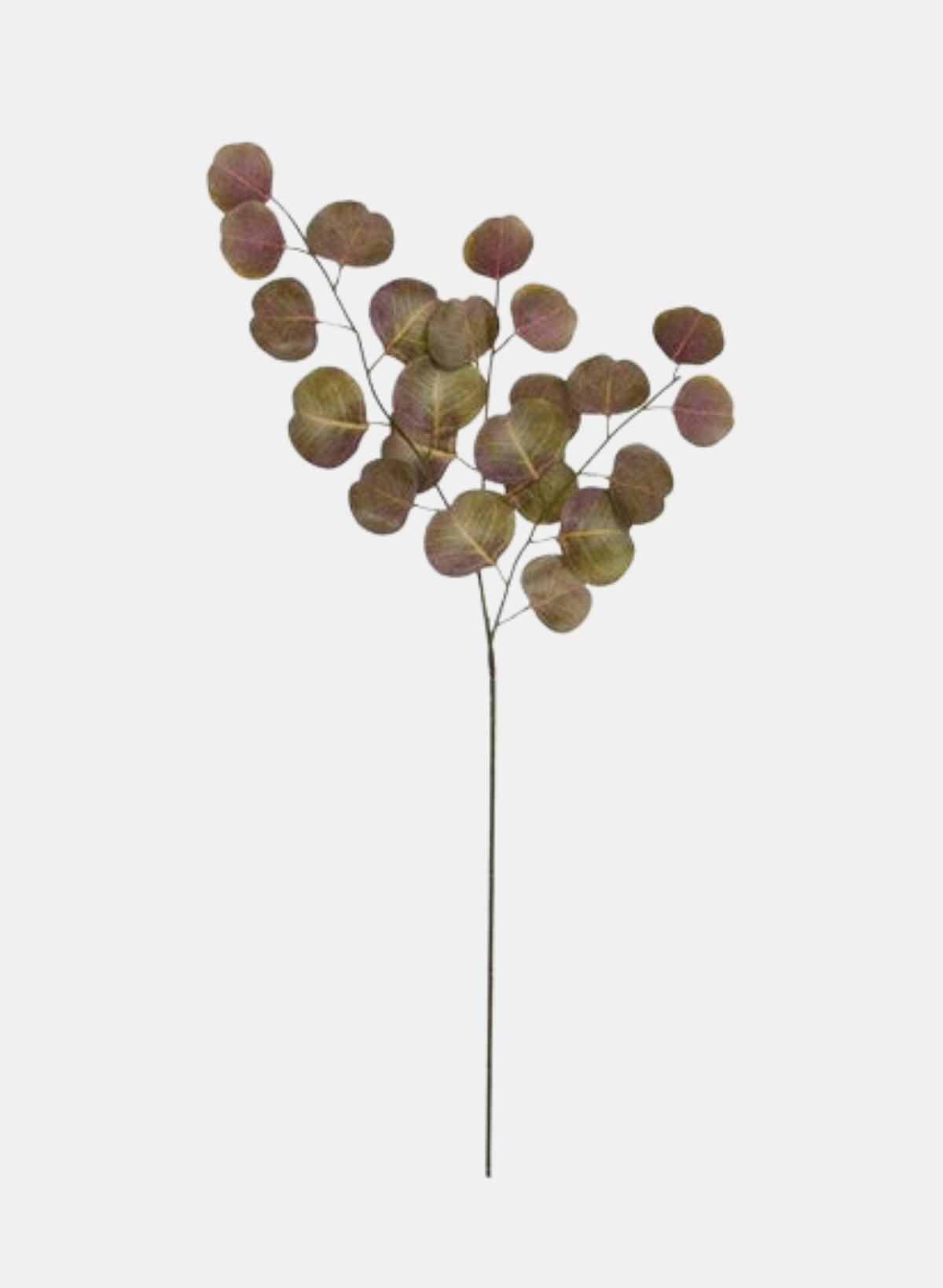 32.5"L EUCALYPTUS SPRAY PLUM/OLIVE